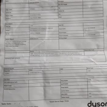 Dyson Cinetic Big Ball Absolute2