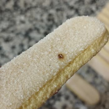 BİM'den Aldığım Üründe Böcek Şoku!