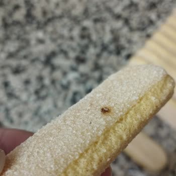 BİM'den Aldığım Üründe Böcek Şoku!