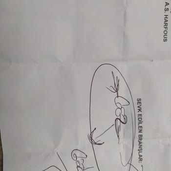 Özel Elif Tıp Merkezi Sağlık Merkezinde Yaşanan Ücretlendirme Sorunu