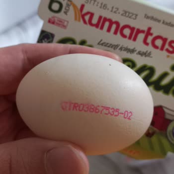 A101 Organik Yumurta Diyerek Kafes Yumurtası Satılıyor
