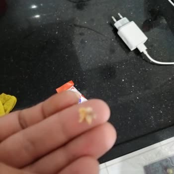 Torku Minik Çikolata Özensiz