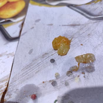 Tavuk Dünyası Pişmemiş Çiğ Gıda