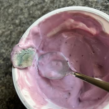 Sek Quark Küf Tabakası