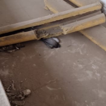 TOKİ Adelet İstiyoruz. Verilmiş Haklarımızın