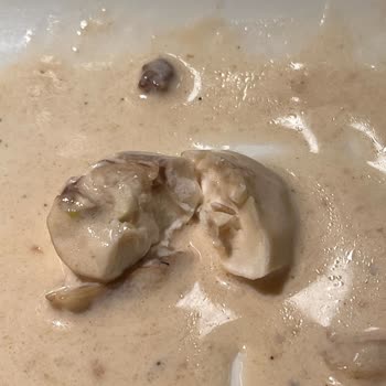 Tavuk Dünyası Çiğ Mantarlı Tabak