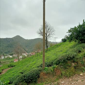 Aksa Fırat Elektrik Dağıtım Elektrik Direği Değişmesi Lazım