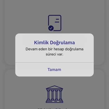 Oldubil Para Aktarımı Sorunları