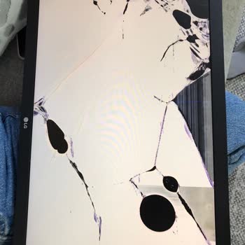 MNG Kargo, Hasarımı Tazmin Etmiyor