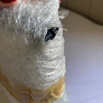 MNG Kargo, Hasarımı Tazmin Etmiyor