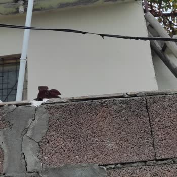 Türk Telekom Teknik Ekibi Nerede