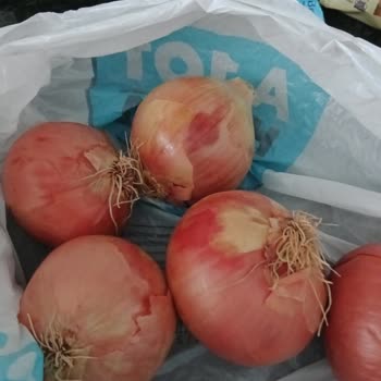 A101 Paramı İade Etmiyor