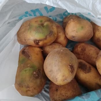 A101 Paramı İade Etmiyor