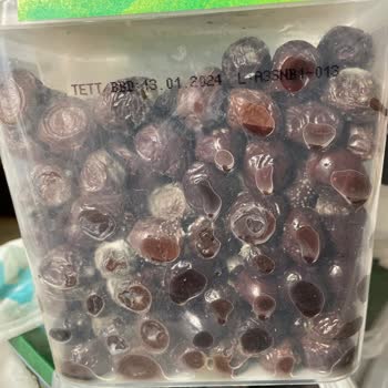 Tukaş Küflü Zeytinleri A101 Satmış Oda Bize