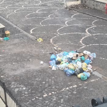 Şehitkamil Belediyesi Temizlik Ve Çöp Konteyneri