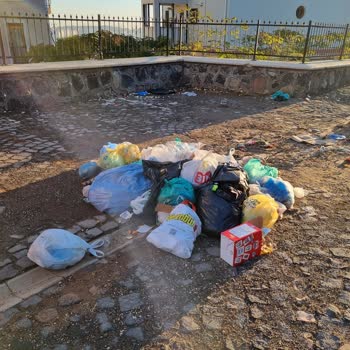 Şehitkamil Belediyesi Temizlik Ve Çöp Konteyneri