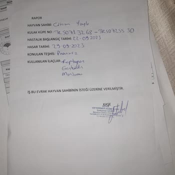 TARSİM İtiraz Etmek İçin