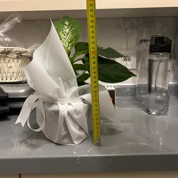 Çiçek Sepeti Hayal Kırıklığı