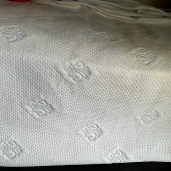 Taç Lisanslı Fenerbahçe Pamuk Tek Kişilik Yorgan Seti Boya Akıtıyor