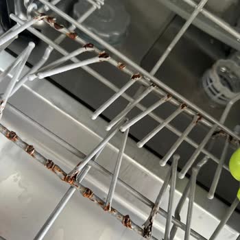 Teka Dw605S Bulaşık Makinesi Sepeti Paslandı
