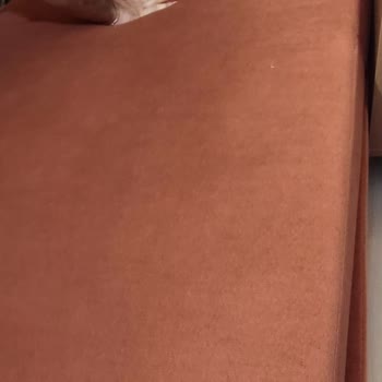 Vivense Kalitesiz Koltuk Ve İlgi Bekleyen Müşteri