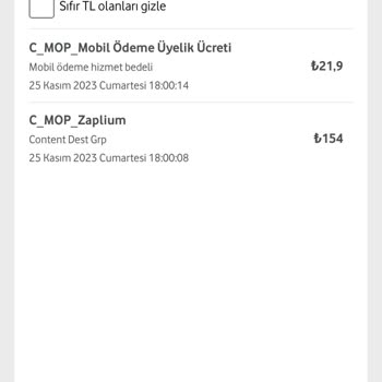 Vizyon Elektronik Para Yanlışlıkla İndirilen Bir Uygulama