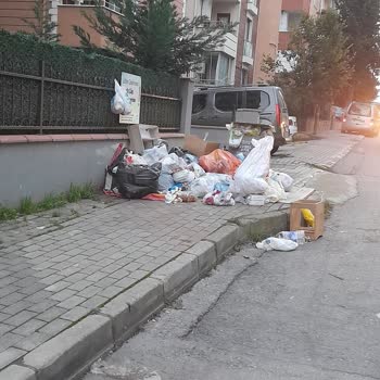 Pendik Belediyesi Çöp Toplama Yapılmıyor