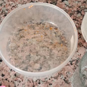 Uğurlu Çeyiz Bulaşık Makinesi Servisi Gelip Bakmıyor Çalışanların İlgisizliği