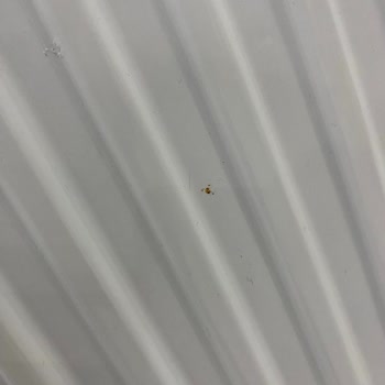 Termoteknik Yalova'da Petek Sorunu