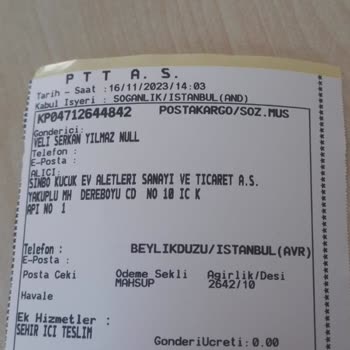 Sinbo Elektronik Satmasın, Paramıza Yazık