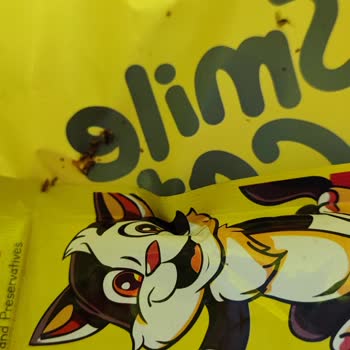 Pelagos Akvaryum Pelagos Kuzu Parçalı Etli Yaş Kedi Maması Kurtlu Çıktı