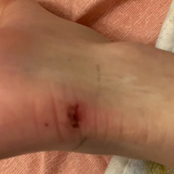 Divolya Kusurlu Ürün Gönderimi Ve İade Kabul Etmemesi