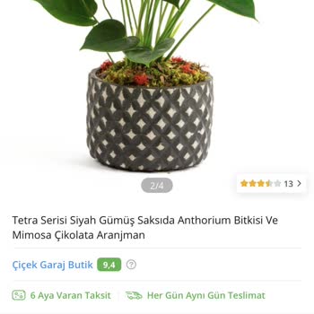 ÇiçekSepeti 2 Tane Sipariş Ettiğim Çiçek Görseldeki Gibi Gelmedi