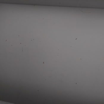 Eldi Mobilya Koltuk Takımı Değişimi