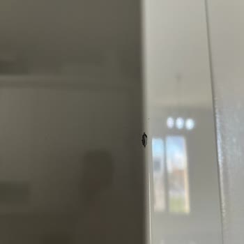 Teknosa Değişim Talebine 10 Gündür Dönüş Yapmıyor