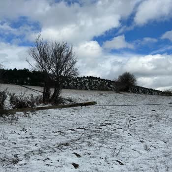 Türk Telekom Telefon Direği Sorunu