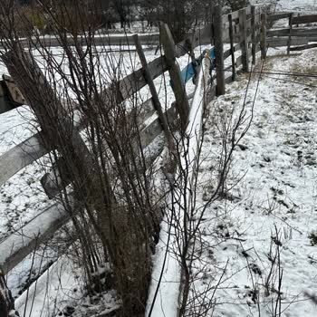 Türk Telekom Telefon Direği Sorunu