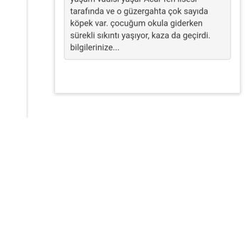 İBB - İstanbul Büyükşehir Belediyesi Beylikdüzü Başıboş K*pekler