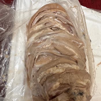 İzmir Kokoreççisi Sağlıksız Bakterili Gıda