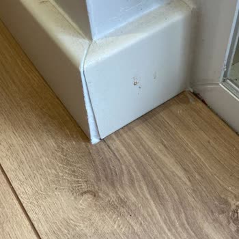 Evdema Soprano Marka Kapı Ve Süpürgelik Şikayeti