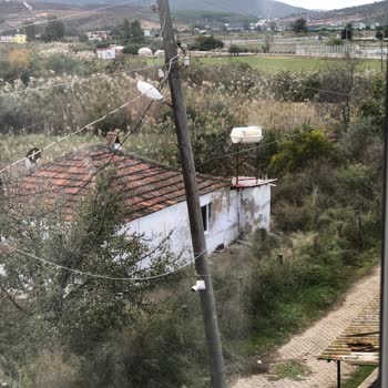 Aydem Perakende Elektrik Direğinin Yıkılması Durumu