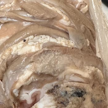 Kasabalı Kokoreç Bozuk Ve Kokmuş Ürünleri Satıyor