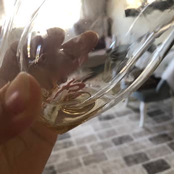 Perotti Seramik  Çift Cidarlı Bardak Su Geçirmesi