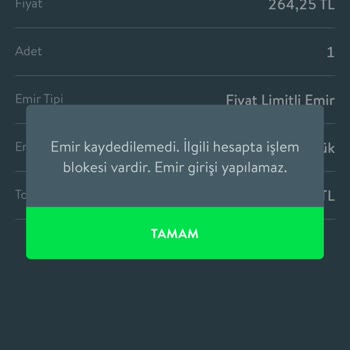 TEB Yatırım Sistem Sorunu Zarar Ettirdi