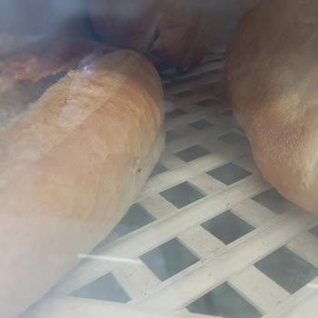 A101 Ekmek Dolabındaki Sinek Ve Böcekler