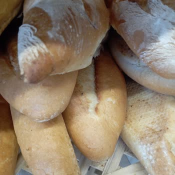 A101 Ekmek Dolabındaki Sinek Ve Böcekler