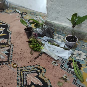 PTT Kargo Firmasından Hasarlı Teslim Edilen Kargo