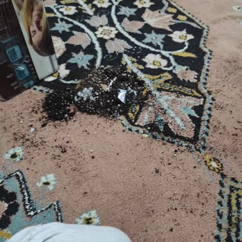 PTT Kargo Firmasından Hasarlı Teslim Edilen Kargo