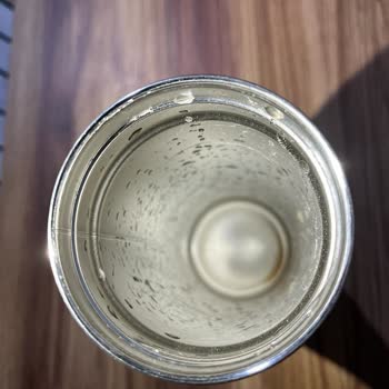 Stanley - Kutup Ayısı Hatası