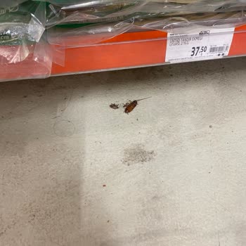 Migros Pastane Önündeki Hijyen Sorunu